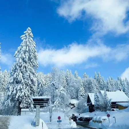 H&p Touristik Residenz Grafenmatt Gra-2-1 Apartament Feldberg (Baden-Wurttemberg)